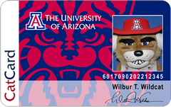 Sample CatCard - Wildcat Design