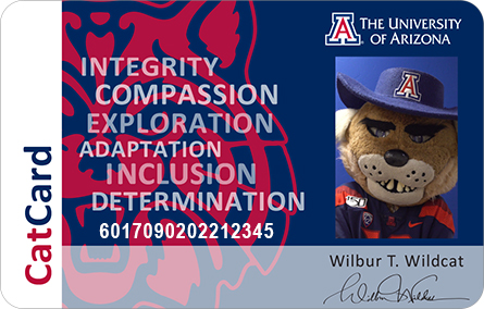 Sample CatCard Wilbur Wildcat