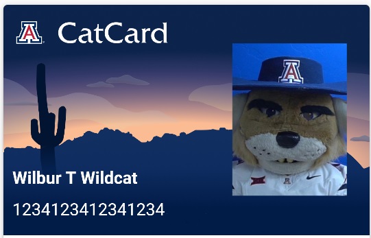 Sample CatCard - Mobile Design