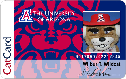 Sample CatCard - Wilbur Wildcat
